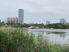 -南宁南湖公园