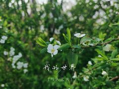 -临平公园(临平街道)