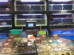 水产区-徐记海鲜(阿波罗店)
