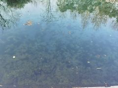 -黄河小浪底水利枢纽风景区