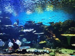 -华夏文旅海洋公园