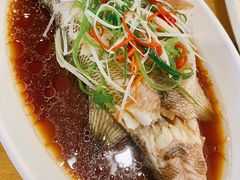 -台北楚楚园馅饼粥(虹桥南丰城店)