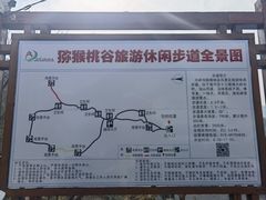 -大岭沟猕猴桃谷风景区