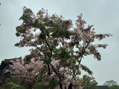 -茅山东方盐湖城景区