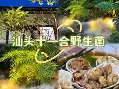 -菌林天下·野生菌汤锅
