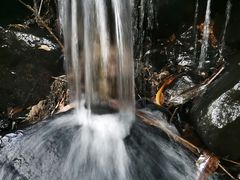 -深圳仙湖植物园-停车场