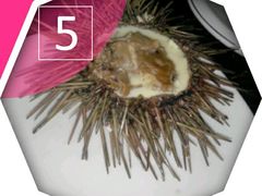 -渔傅·蓝海岸霞浦海鲜(正祥店)