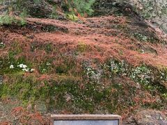 -崀山风景名胜区