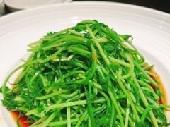 酒香炒豆苗-老头儿油爆虾·知味杭州(爱琴海购物中心)
