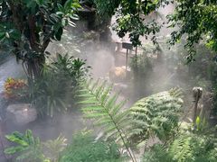 -北京植物园-展览温室
