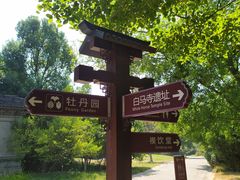 -习家池