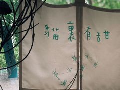 -猫里有甜