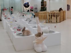 -Moni星球萌宠·小马宝莉·灵蛇·高端高阶全萌宠互动体验俱乐部(红豆国际广场店)