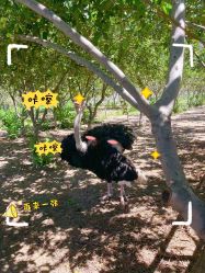 -优沃得自然教育农场·冰雪乐园·生日会·研学