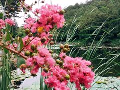 -香山公园