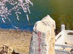-桃花堤公园