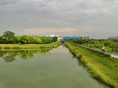 -长洲岛