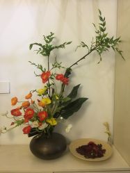 -酉嘉瑜伽YO+YOGA