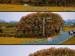 -乌龙涧铁道铁轨景