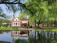 -上海共青森林公园