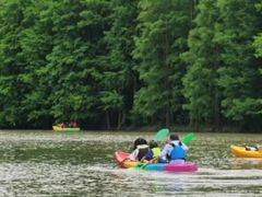 -上海海湾国家森林公园