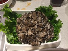 -海底捞火锅(亲子主题北金鹰店)