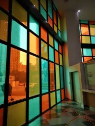 -上海交通大学医学院附属上海儿童医学中心(陆家嘴总院区)