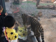 -昆明动物园