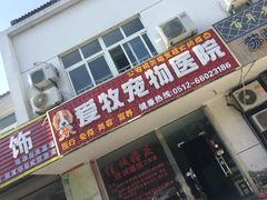 -爱牧宠物医院·猫专科·骨科·内窥镜(甪直店)