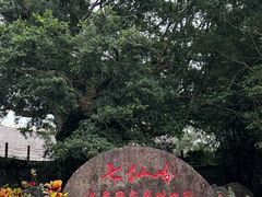 -七仙岭温泉国家森林公园