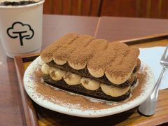 提拉米苏-树夏Tree Summer