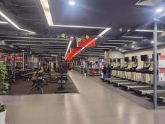 -金吉鸟健身游泳