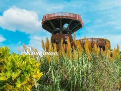 -芒洲湿地公园