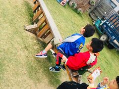 -田园东方蜜桃村的田野营地