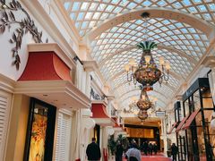 -拉斯维加斯永利酒店