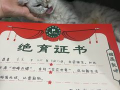 -派特宠物医院(圆融广场店)