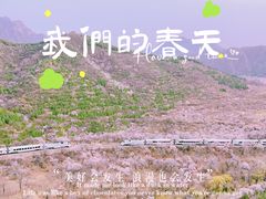 -居庸关长城