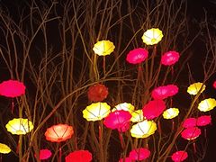 -珠海海泉湾神秘岛亲子乐园