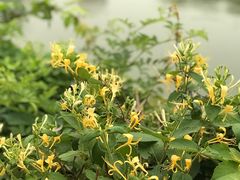 -天元坊(梁溪店)