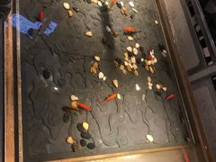 -四季民福烤鸭店(前门店)
