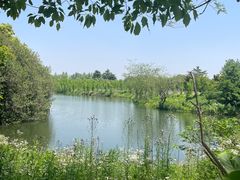 -太阳岛度假酒店