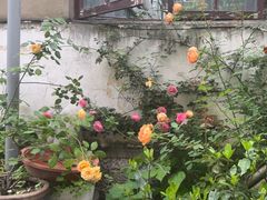 -又见炊烟私房菜(敬亭路店)