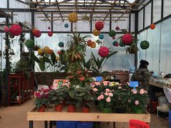 -云南民族大观园