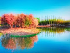 -东郊湿地公园