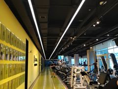 -Liking健身(哈尔滨旗舰店)