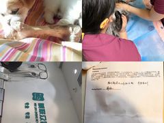 -美联众合动物医院·24h转诊中心