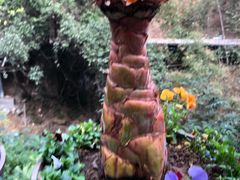 -古龙峡云天玻霸