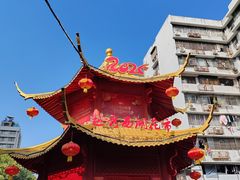 -越秀西湖花市(广州城市广场花卉店)
