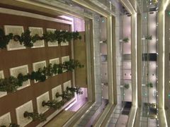 南京禄口机场铂尔曼大酒店-南京禄口机场雅高铂尔曼大酒店