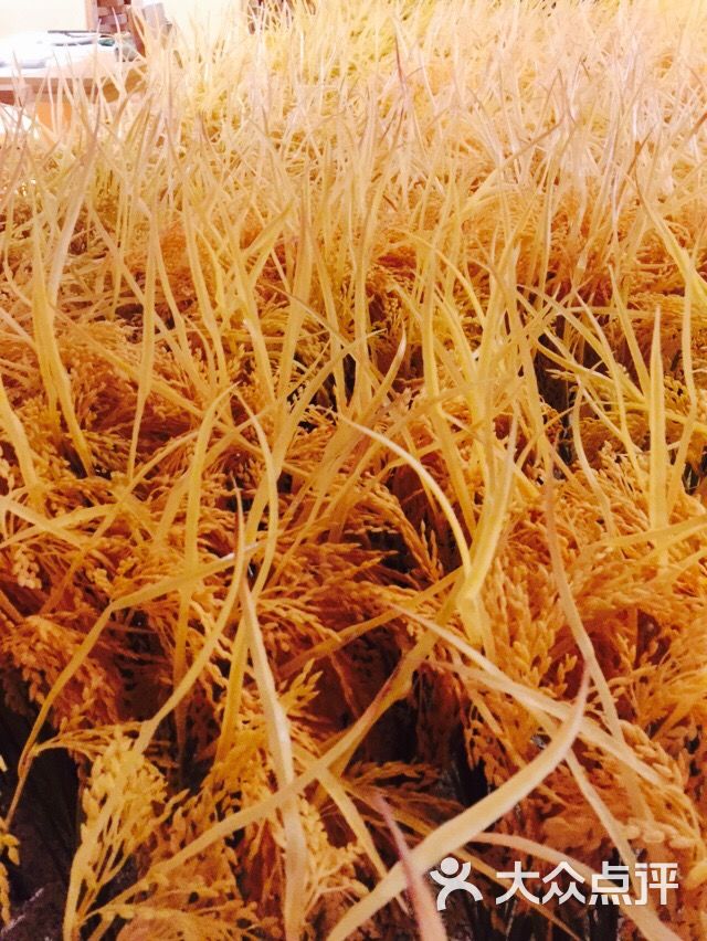 纳豆日本料理(城市店)图片 - 第1张